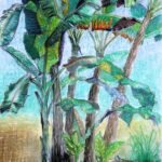 Bananas at Pun Pun - Tailand