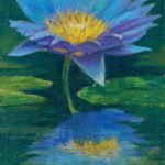 Blue Lotus