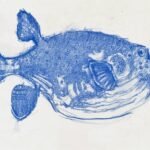 Puffer Fish