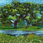 tissamaharama 11july23