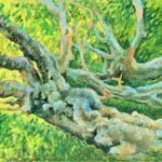 trees luang prabang 27sept19